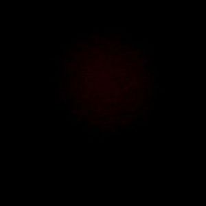 Meet your Posher, Todd